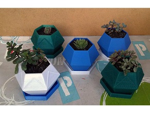 esagono sukkulenten pflanzgef&auml&szlig succulente fioriera arredamento blumentopf cactus giardino garten esagonale kakteen kaktus pflanzengef vaso 3d print model - Mito3D