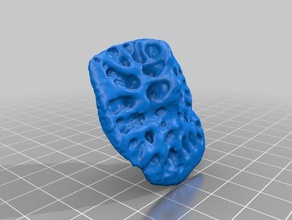 alligator osteoderm biology bone 3d print model - Mito3D
