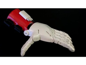 unlimbited phoenix hand left 120 biology customized 3d print model - Mito3D