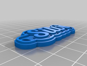 silvi Anahtarlık özelleştirilmiş 3d print model - Mito3D