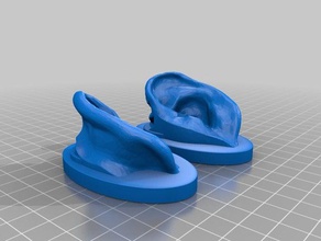 impostare le orecchie La stampa 3d 3d print model - Mito3D