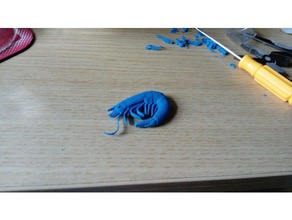 shrimp creatures 3d print model - Mito3D