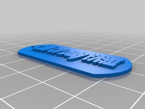 call duty wwii-Hund-tag 3d drucken 3d print model - Mito3D