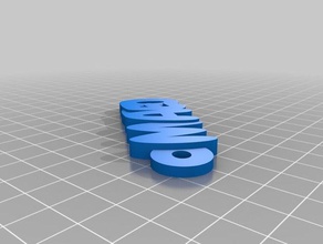 mi personalizados iamburnystext nombre llavero mando organización 3d print model - Mito3D