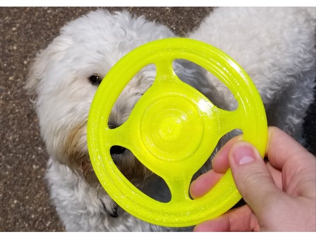 frisbee oyuncaklar oyunlar plaj yakala oyuncak çiğnemek çocuklar çocuk oyuncağı köpek flex frizbi golf frisby eğlenceli kayma havuzu esnek at atma kaç çeşit PDA ultimate 3D print model - Mito3D