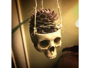 crânio planta cabide esculturas 3d print model - Mito3D