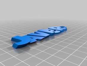 javier organizasyon özelleştirilmiş 3d print model - Mito3D