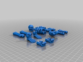 skelly squelette biologie 3d print model - Mito3D