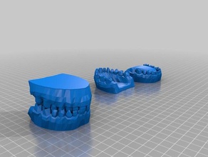 les dents de modèle jouets jeux L'impression 3d 3d print model - Mito3D