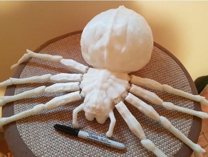 el gigante de poseable halloween araña dividir abdomen a los animales articulados la articulación traje proposición prop enorme real realista miedo spiderweb 3d print model - Mito3D