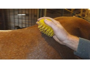 fuznuz horse ergonomic brushes pets back scratcher coat comb dog equine grooming livestock pferd 3d print model - Mito3D