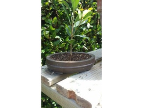 small bonsia pot 3d printing bonsai planter tree flower vase plants 3d print model - Mito3D