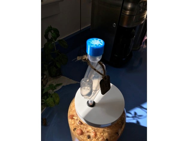 airlock tappo gorgogliatore cucina pranzo acp mead vino 3D print model - Mito3D