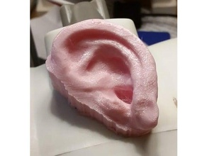 l'oreille humaine un aimant de réfrigérateur sculptures creepy grpss 3d print model - Mito3D