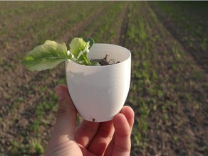 olla pequeña flor al aire libre jardín barato fácil de impresión maceta la jardinería planta útil 3d imprime cosas útiles youtube vídeo 3d print model - Mito3D