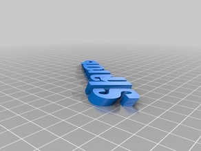 il mio personalizzato iamburnystext nome keyfob portachiavi organizzazione 3d print model - Mito3D