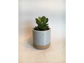 two tone flower pot decor planter plant vase succulent 3d print model - Mito3D