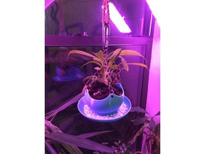 sürahi bitki nem pot açık bahçe etçil bitkiler sinekkapan asılı ekici kapalı nepenthes 3d print model - Mito3D