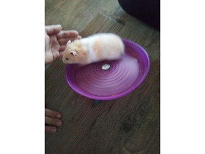 roda de hamster animais estimação 3d print model - Mito3D