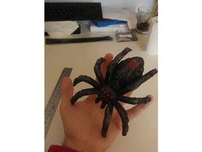 geocache-spider sport im freien geocache Behälter 3d print model - Mito3D
