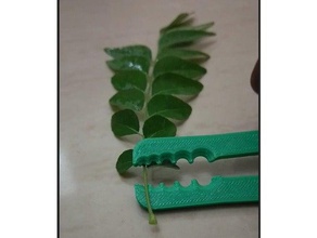 feuille de strip-teaseuse cuisine à manger boolean vert supprimer 3d print model - Mito3D