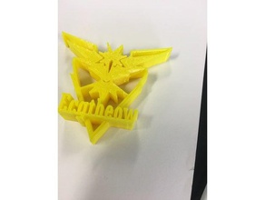 team instinct pokemon 3d printing 3d print model - Mito3D