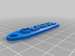 mi tecla personalizada de la cadena etiqueta organización 3d print model - Mito3D