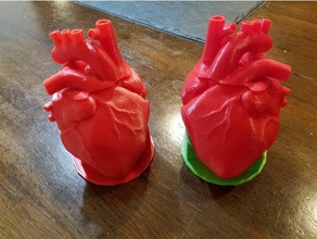 anatomical heart dice cup 3d print model - Mito3D
