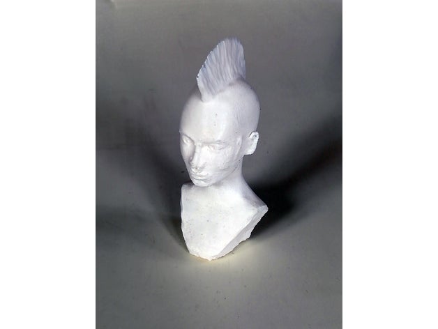 mohawk Mädchen Büste Skulpturen Kunst atze berlin iro irokese punk 3D print model - Mito3D