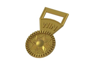 star medal accessories medallion prize 3d print model - Mito3D