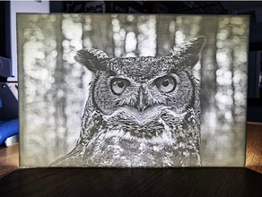 great horned owl lithophane 2d art lithopane oregan oregon 3d print model - Mito3D