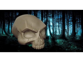 skull scar decor decoration halloween prop 3d print model - Mito3D