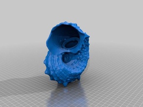 sea conical shell bank 2 options toys games beach coin money 3d print model - Mito3D
