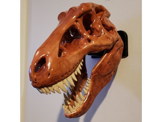 t-rex kafatası duvara monte sraight sanat hayvan dinozor fosil kanca duvar sanatı 3D print model - Mito3D