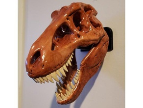 t-rex crânio de montagem na parede sraight a arte animais dinossauro fósseis gancho 3d print model - Mito3D