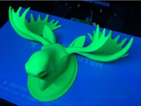 moose head plaque animals antlers hunting moosehead mounted taxidermy 3d print model - Mito3D