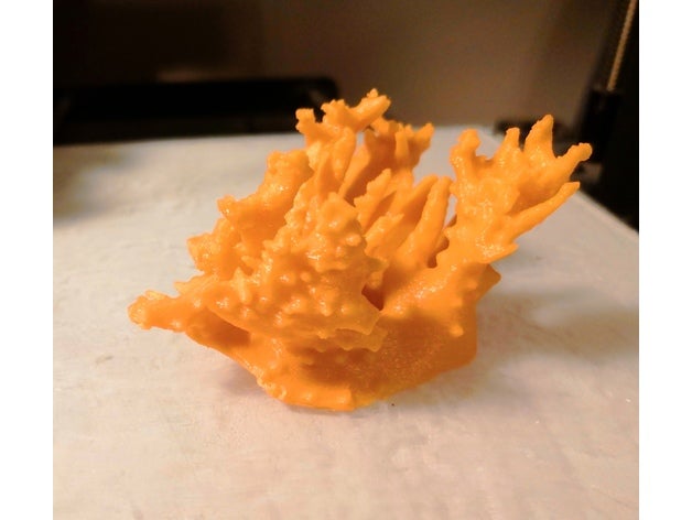 de coral modelos los arrecifes 3D print model - Mito3D