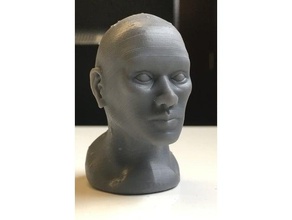 homem pessoas do busto humanos 3d print model - Mito3D