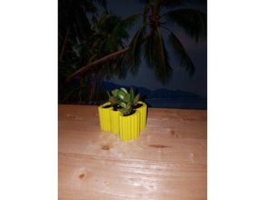 succulentpot household 3d print model - Mito3D