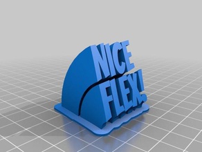nice flex my customized sweeping 2-line name plate office 3d print model - Mito3D