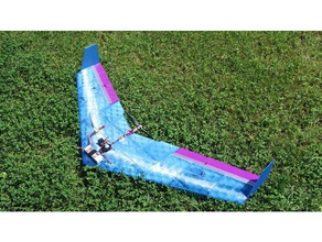 delta wing diy 3d print model - Mito3D
