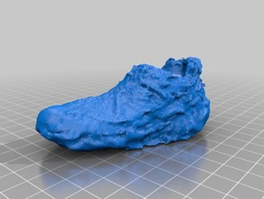 photo scan my shoe models new balance photogrammetry photoscan shoes 3d print model - Mito3D