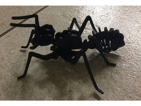 ant quebra-cabeça quebra-cabeças 3d print model - Mito3D