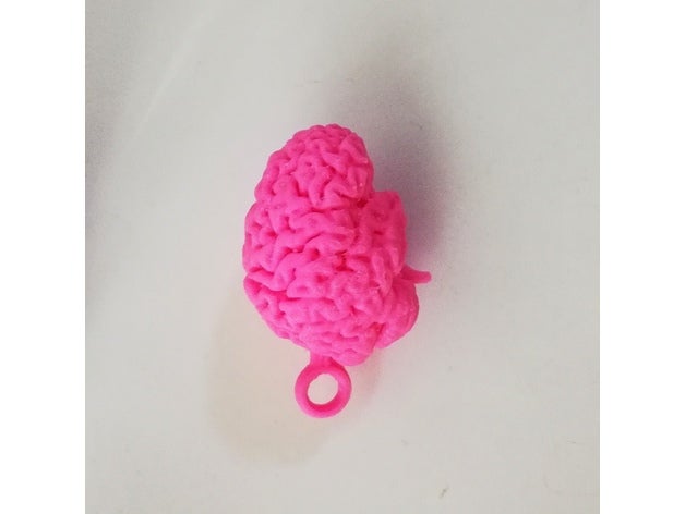 brain keychain keychains 3D print model - Mito3D