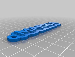 minha personalizado de várias linhas tag porta-chaves chaveiros 3d print model - Mito3D