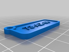 chaveiro matricula keychains customized 3d print model - Mito3D