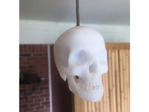 skull rope pull knob other 3d print model - Mito3D