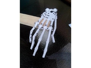 macio robô dedos 3d impressão mão prótese robótica esqueleto 3d print model - Mito3D