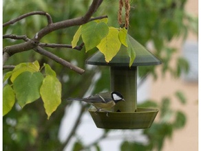 vogel futterspender bird food dispenser outdoor garden birdfeeder birdhouse hanging planter pet 3d print model - Mito3D
