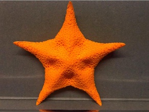 estrela-do-mar do modelo esculturas cosplay prop 3d print model - Mito3D